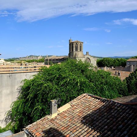 شقة Mon Toit Carcassonnais •Hypercentre •Terrasse •Vue قرقشونه المظهر الخارجي الصورة